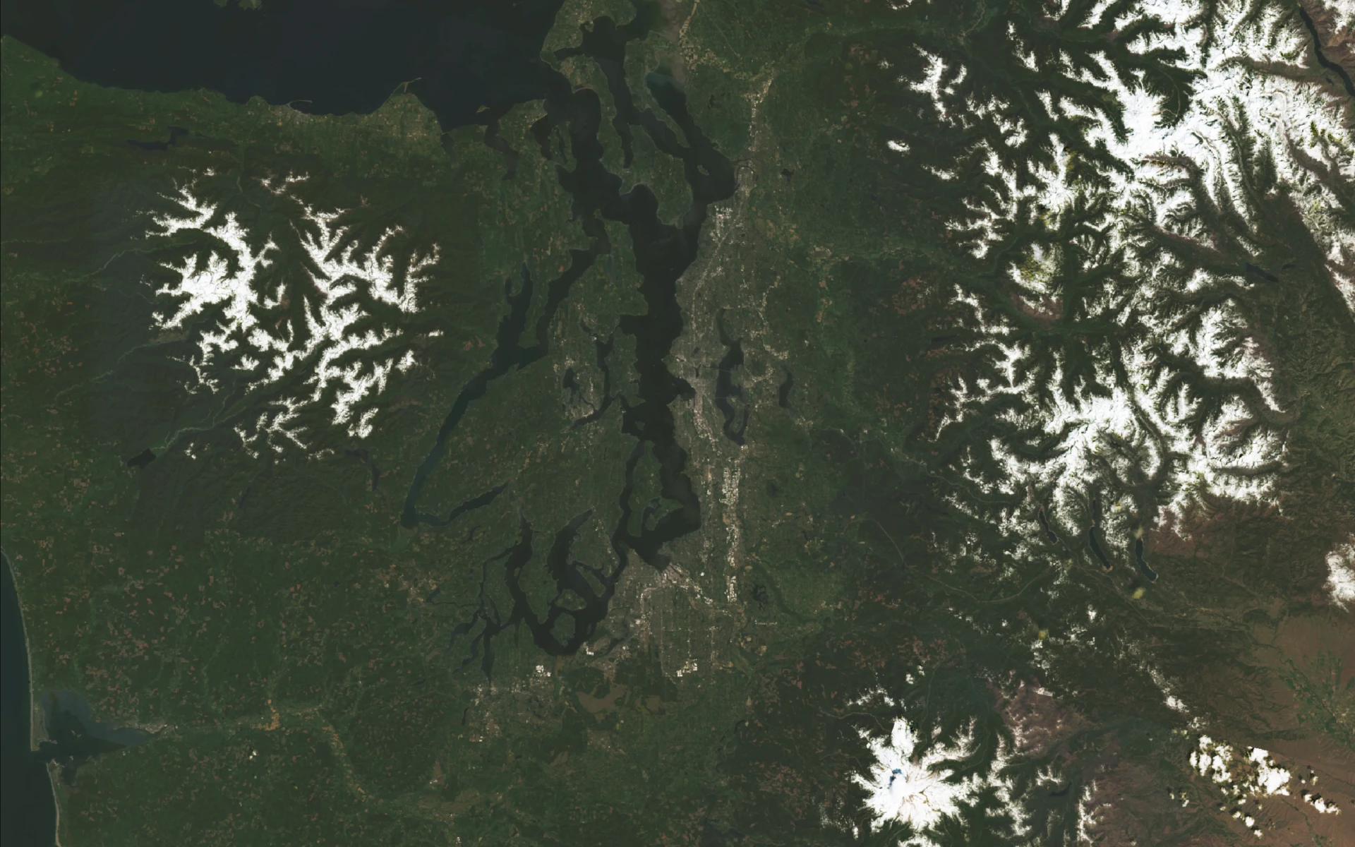 Satellite view of Western Washington.